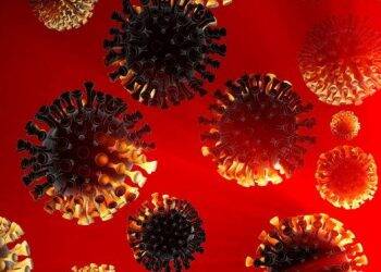 Brasil supera os 5 milhões de contaminados pela Covid-19