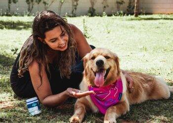 Outubro Rosa: pets também podem desenvolver câncer de mama