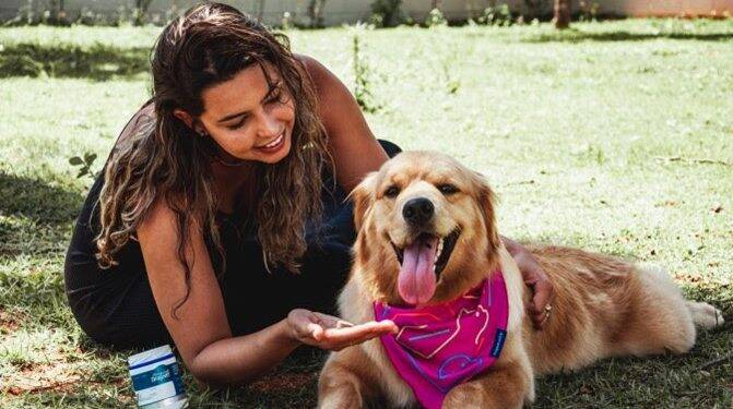 Outubro Rosa: pets também podem desenvolver câncer de mama