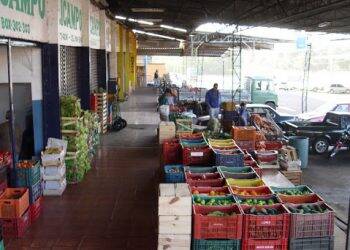 Estado promove licitação de hortifrútis em Foz do Iguaçu