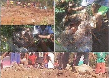 Miséria atinge Puerto Iguazú: população desenterra frangos estragados para comer