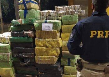 PRF registra recordes de apreensões nos dez primeiros meses do ano