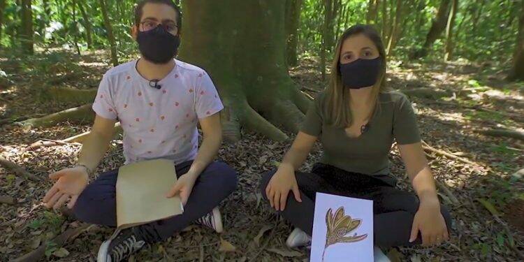 “Desafio Itaipu: Sustenta-Habilidade” leva jogadores a uma imersão na Mata Atlântica