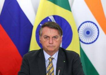 Bolsonaro: Brasil divulgará lista de importadores de madeira ilegal