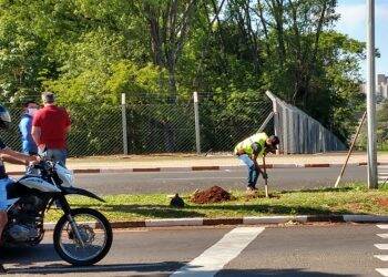 Começa a instalação dos ‘semáforos inteligentes’ na Vila A
