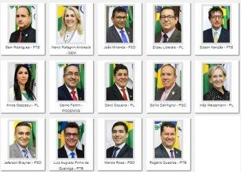 Confira a votação dos 14 vereadores que concorreram a reeleição