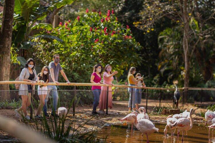 Parque das Aves supera as expectativas e recebe 8.061 visitantes no Feriadão de Finados