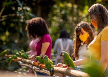 Parque das Aves supera as expectativas e recebe 8.061 visitantes no Feriadão de Finados