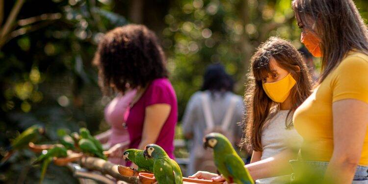 Parque das Aves supera as expectativas e recebe 8.061 visitantes no Feriadão de Finados