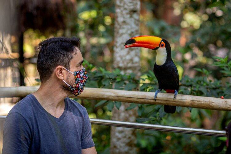 Parque das Aves supera as expectativas e recebe 8.061 visitantes no Feriadão de Finados