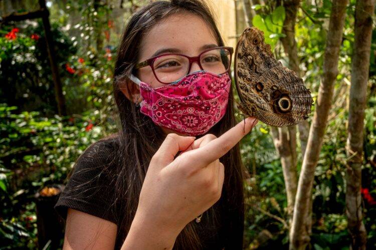 Parque das Aves volta a abrir às segundas-feiras