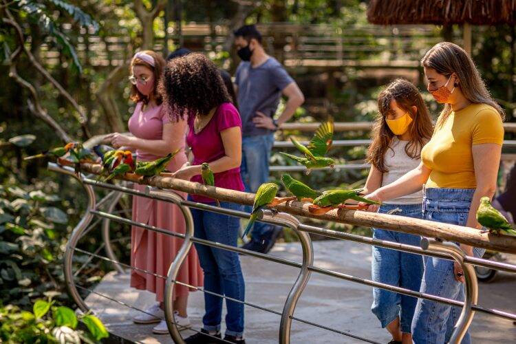 Parque das Aves volta a abrir às segundas-feiras