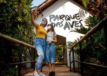 Parque das Aves volta a abrir às segundas-feiras