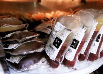 Dia do Doador de Sangue: Hemonúcleo agradece a quem doou mesmo na pandemia