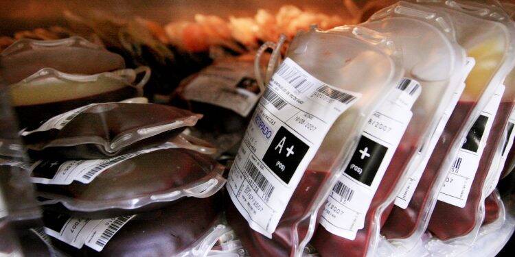 Dia do Doador de Sangue: Hemonúcleo agradece a quem doou mesmo na pandemia