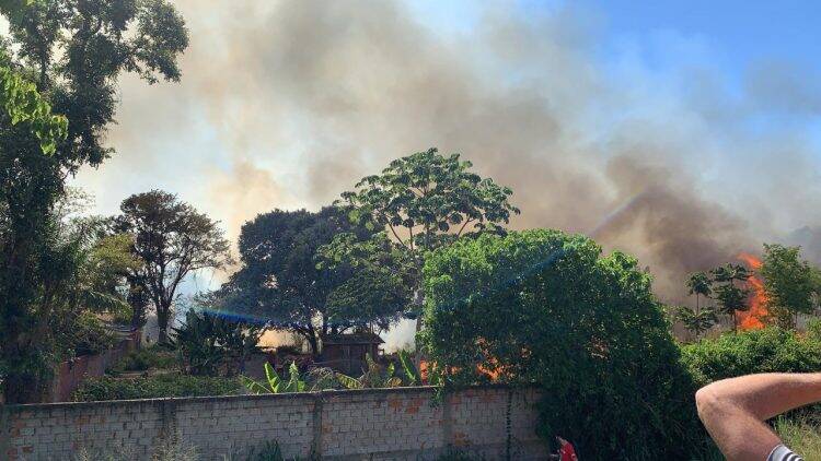 Tatu é socorrido com ferimentos leves durante incêndio na Vila Adriana que atingiu 7 residências
