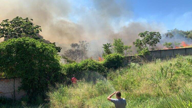 Tatu é socorrido com ferimentos leves durante incêndio na Vila Adriana que atingiu 7 residências