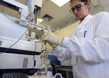 Brasil confirma caso de ‘superfungo’ fatal resistente a medicamentos e emite alerta