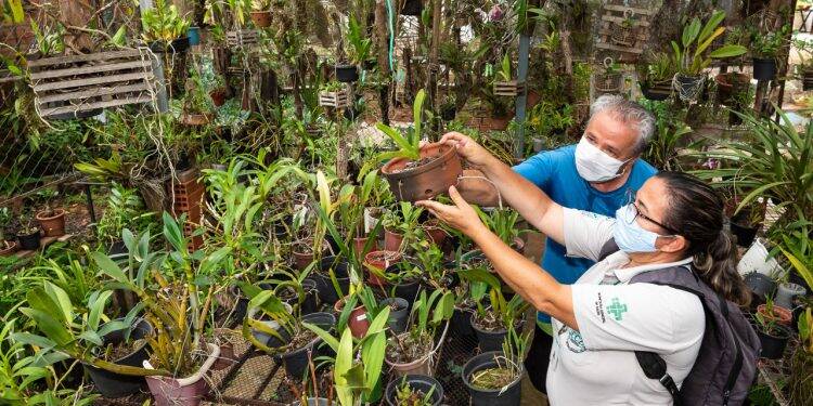 Gincana contra a dengue conclui vistoria das residências e abre fase de julgamento dos bairros