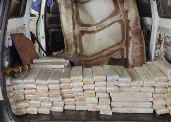 Homem é preso tentando passar a aduana com 320 kg de maconha