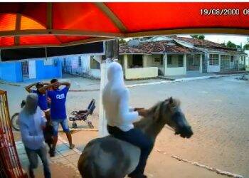 Homens usam cavalo para assaltar mercado; vídeo