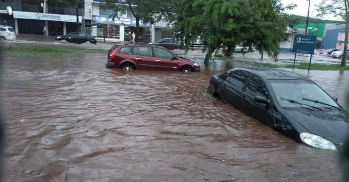 Temporal causa alagamentos, derruba árvores e descobre casas em Foz