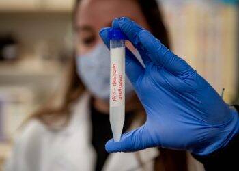 Vacina desenvolvida no Paraná induz produção maior de anticorpos que a de Oxford em fase pré-clínica