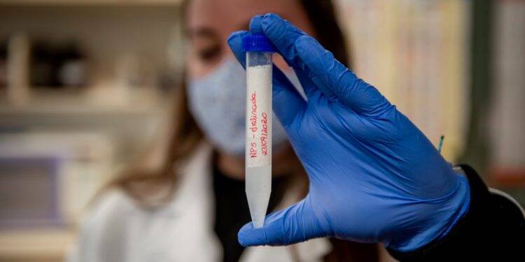 Vacina desenvolvida no Paraná induz produção maior de anticorpos que a de Oxford em fase pré-clínica