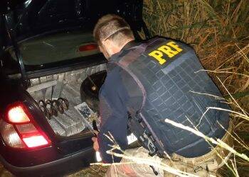 Operação Sinergia: PRF e Polícia Civil apreendem mais de 200 quilos de maconha