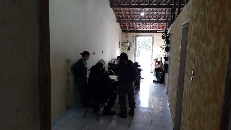 Polícia Federal desencadeia operação contra o tráfico de animais