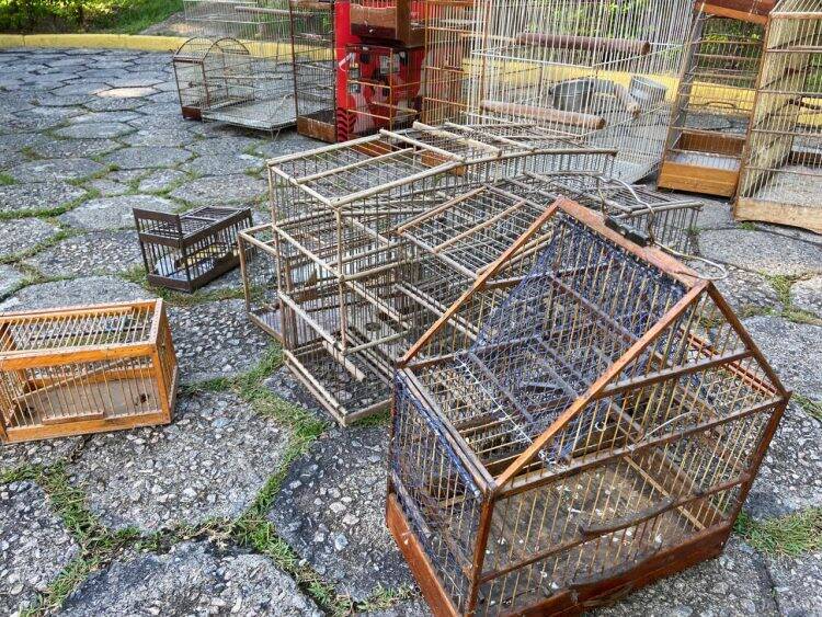 Polícia Federal desencadeia operação contra o tráfico de animais