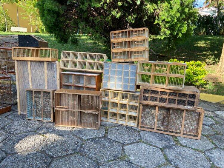 Polícia Federal desencadeia operação contra o tráfico de animais