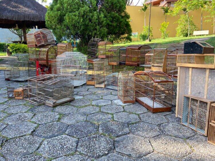 Polícia Federal desencadeia operação contra o tráfico de animais