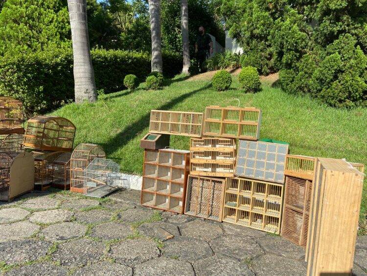 Polícia Federal desencadeia operação contra o tráfico de animais