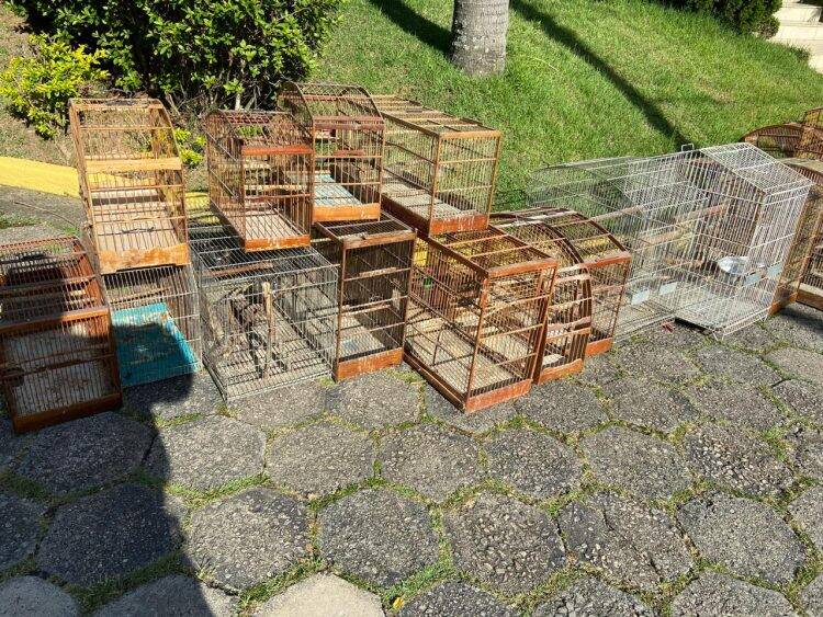 Polícia Federal desencadeia operação contra o tráfico de animais