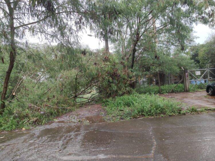 Temporal causa alagamentos, derruba árvores e descobre casas em Foz