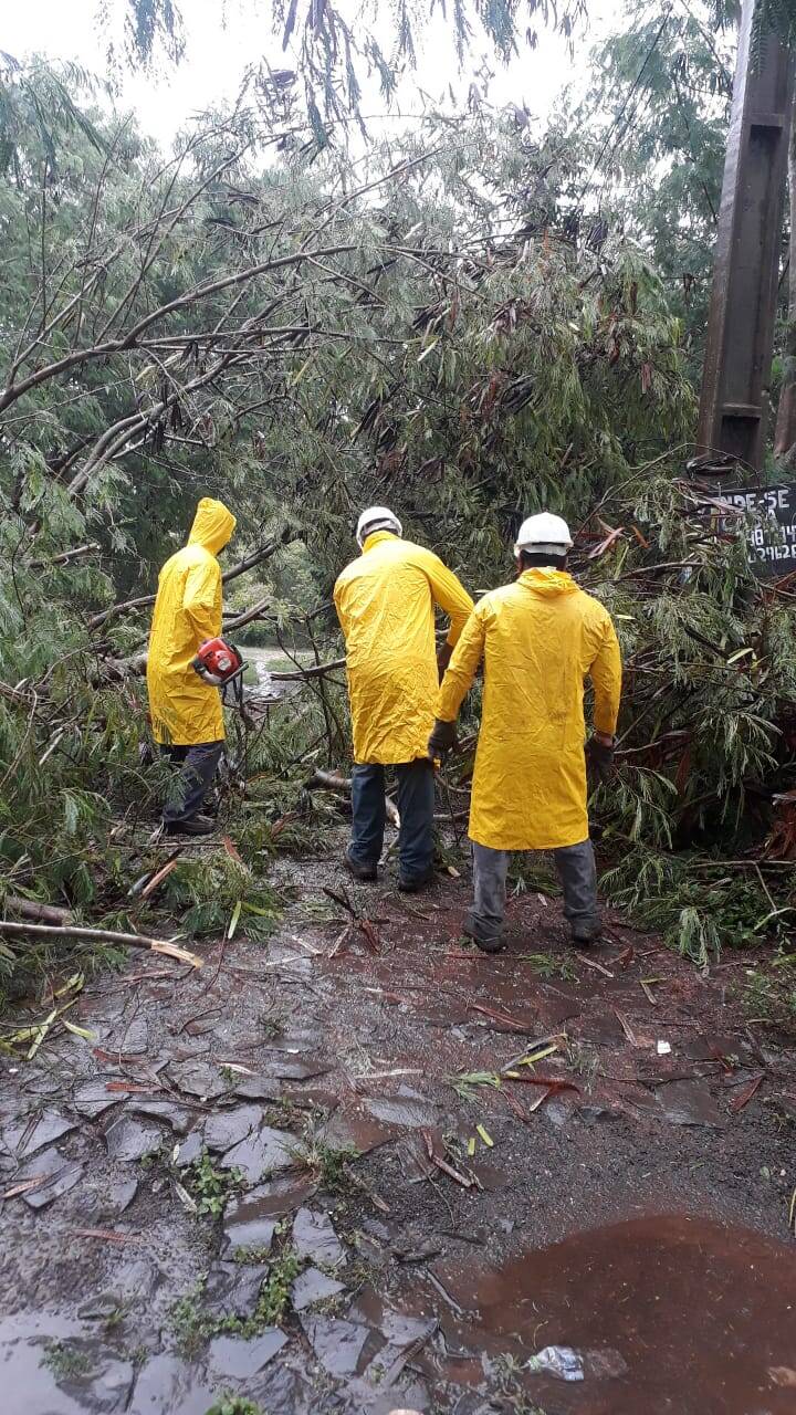 Temporal causa alagamentos, derruba árvores e descobre casas em Foz