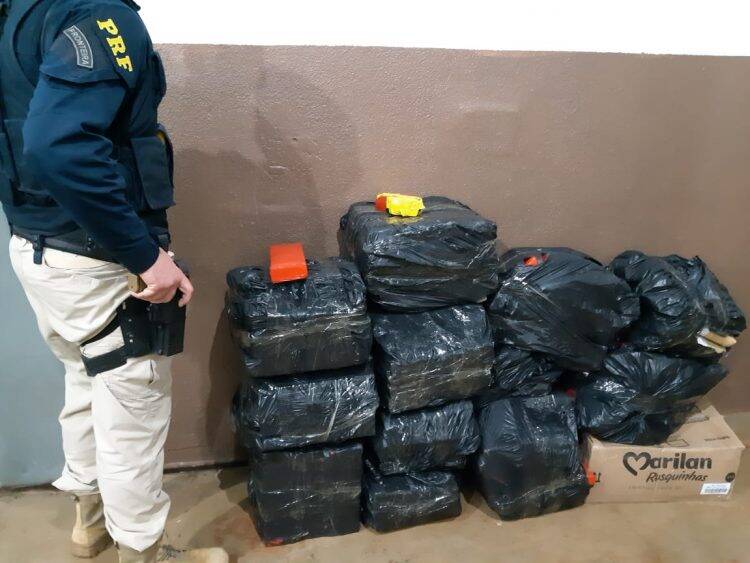 Rapaz de 22 anos é preso em Santa Terezinha com 308 quilos de  maconha