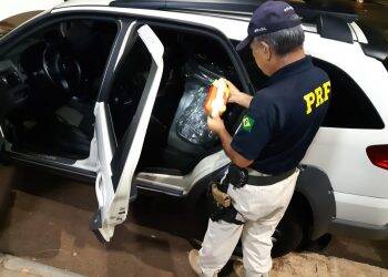 Rapaz de 22 anos é preso em Santa Terezinha com 308 quilos de  maconha