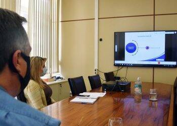 Paraná participa de reunião sobre plano preliminar de vacinação