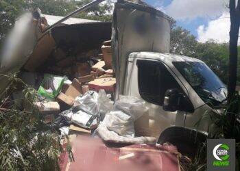 Veículo carregado com medicamentos sai da pista na BR-277 em São Miguel