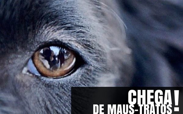 Mulheres presas após matar filhotes em Foz praticavam zoofilia, diz denúncia