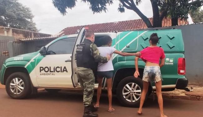 Mulheres são presas no Jardim Colombeli após matarem filhotes de cachorro a pauladas