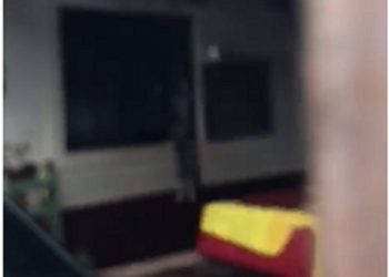 Homens são presos por maus-tratos a animal em Santa Terezinha de Itaipu