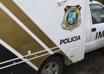 Homem é atacado por milhares de abelhas e morre no interior de Toledo