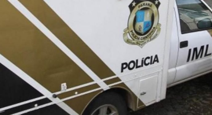 Homem é atacado por milhares de abelhas e morre no interior de Toledo