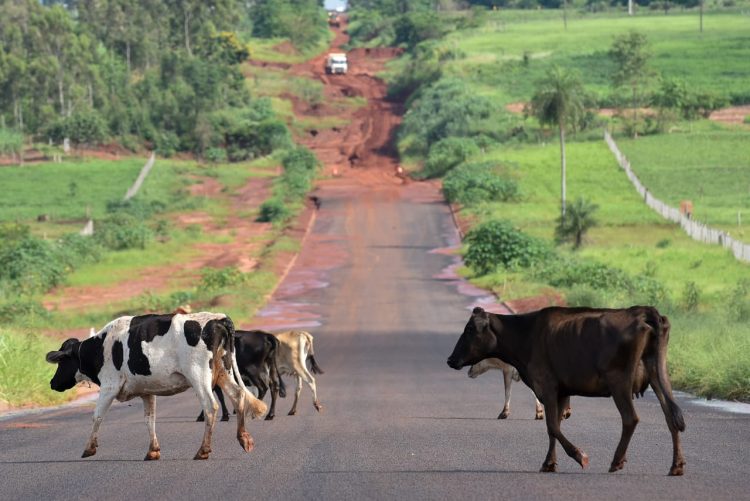Revitalização da Estrada Boiadeira abre novo ciclo de desenvolvimento para o Noroeste