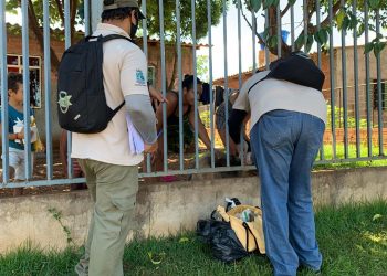 CCZ inicia encoleiramento de cães para a prevenção contra a Leishmaniose