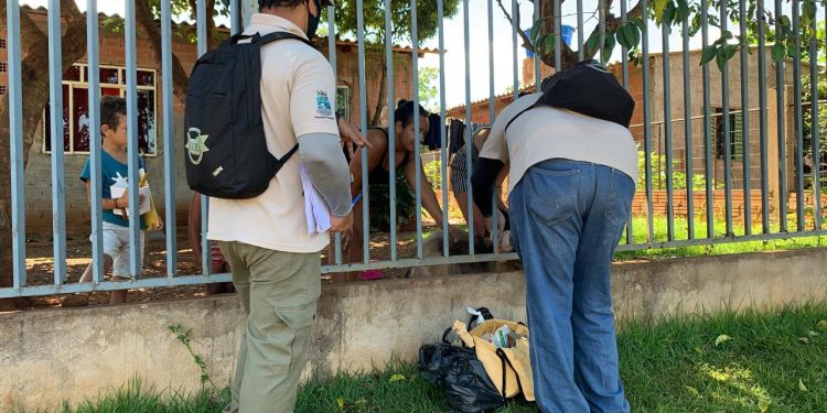CCZ inicia encoleiramento de cães para a prevenção contra a Leishmaniose