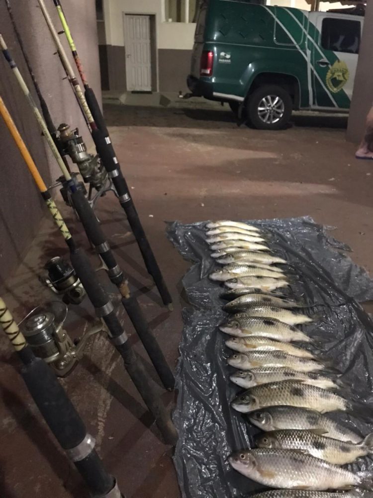 Pescadores são presos em Foz por pescarem durante a piracema